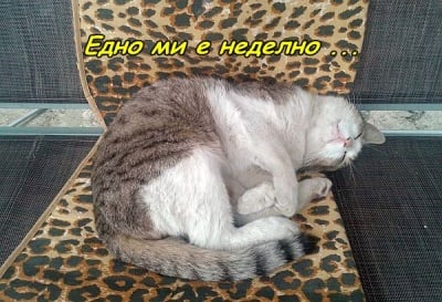 Ей на това се казва неделно утро!