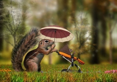 На разходка