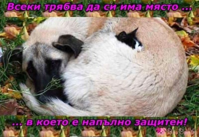 На сигурно място