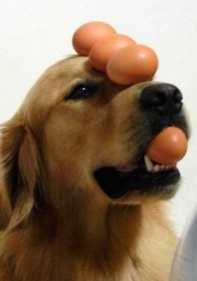 Възможно ли е?