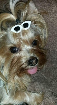 Сладката ни Тери