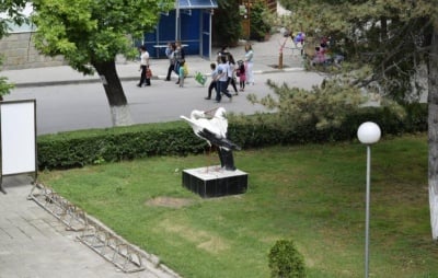 Фестивал на Белия щъркел