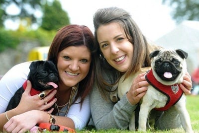 Фестивал на набръчканите кучета