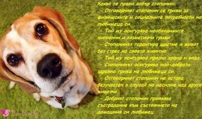 Февруари - месец на отговорните стопани на животни