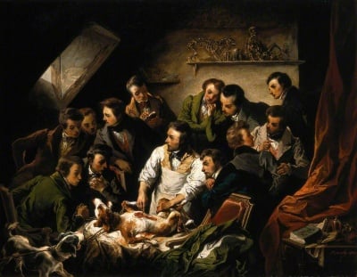 Развитие на физиологията през XIX век