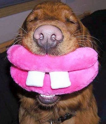 Господин Усмивко