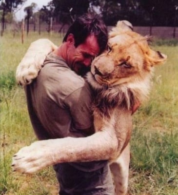 Прегръдката през погледа на животните (уникални снимки)