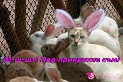 Агент под прикритие