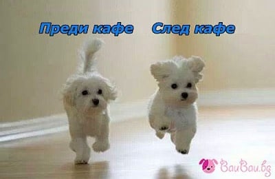 За един жизнен ден!