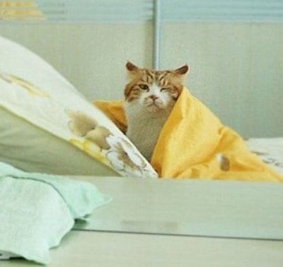 "Още 5 минутки мамо"