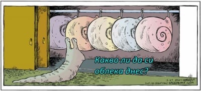 Сутрин пред гардероба