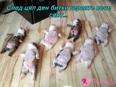 Капнали от умора