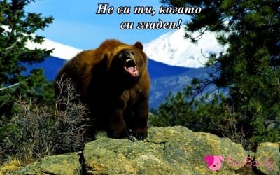 Не си ти, когато си гладен