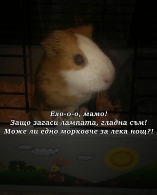 Гладен не се заспива!