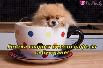 Вместо кафе