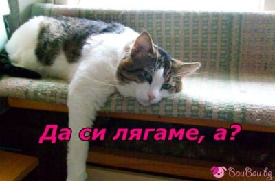 Време е за сън