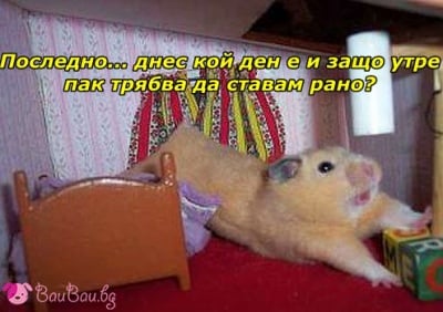"Едва спрях будилника!"