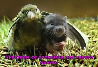 "Ще бъдем спокойни един до друг!"