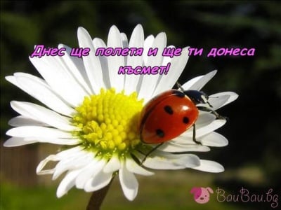 Готова да полети!