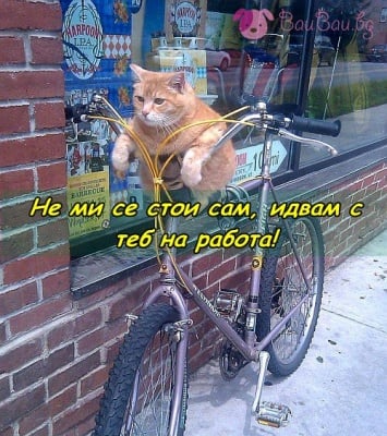 Готов за пътуване