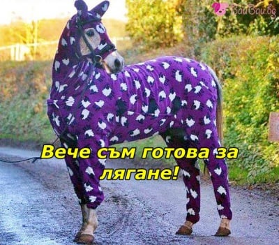 Готова за сън