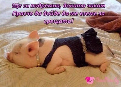 Готова за празничната вечеря