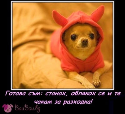 Готова за разходка