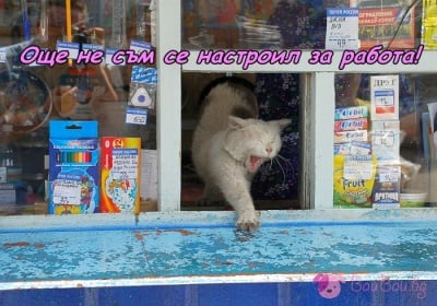 Градът се събужда