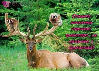 Безплатен транспорт