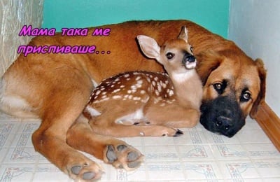 Грижата един за друг е безценна