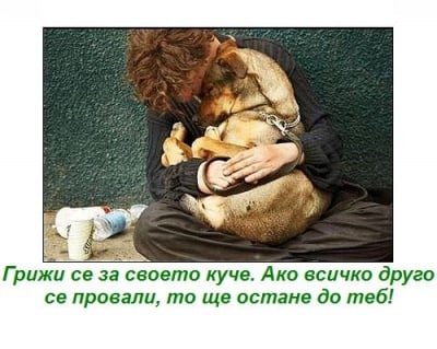 Да се грижим добре за кучетата си ...