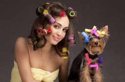 Грижи за кучешката козина