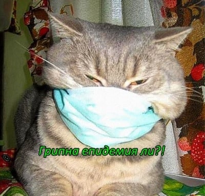 Някои вече се подготвиха