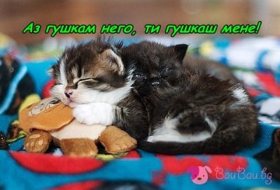 Абе, гушкане да има!