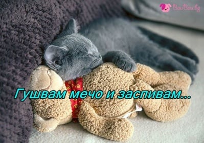 Друго си е да не спиш самичък!