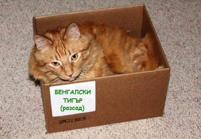 Хайде на хубавия разсад - който разбира, тук се спира!