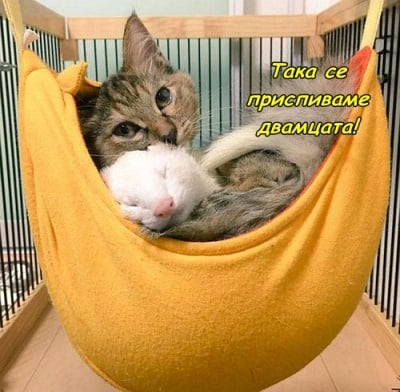 Хамаче за приспиване