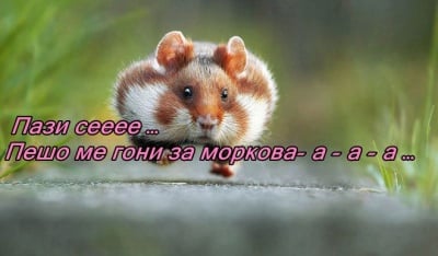 Бягай-й-й-й-й