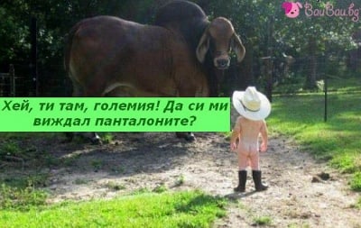 Малък каубой