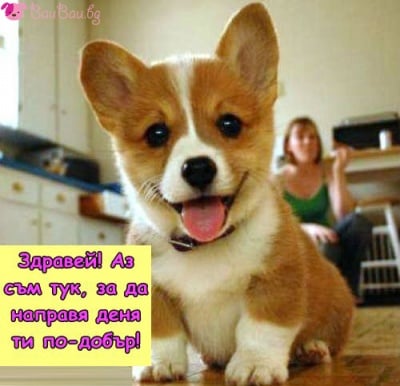 За един по - усмихнат ден