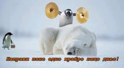 Грубото събуждане