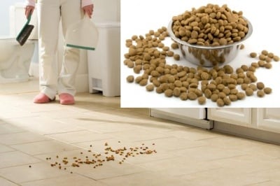 Защо някои кучета ядат храната извън купичката си?