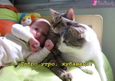 Да се събудиш щастлив