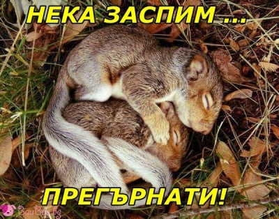 Прегръдка за лека нощ!