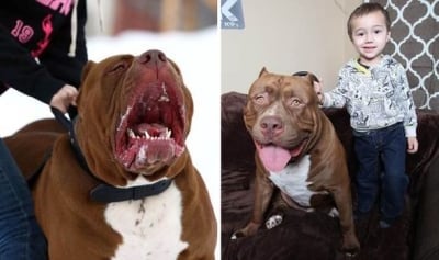 Хълк и Джордан