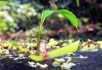 С лодка под дъжда