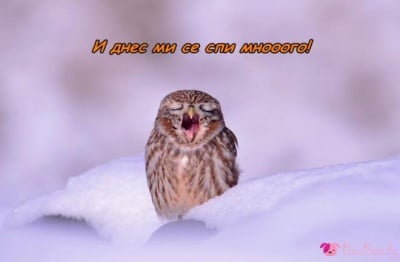 Няма делник, няма празник ...