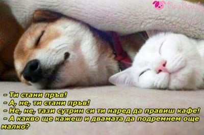 "Ти стани пръв!"