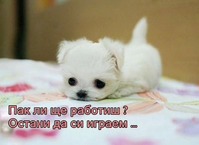 Недоволен, че е понеделник