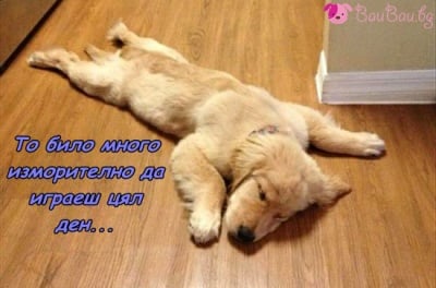 Играл, играл и ... заспал